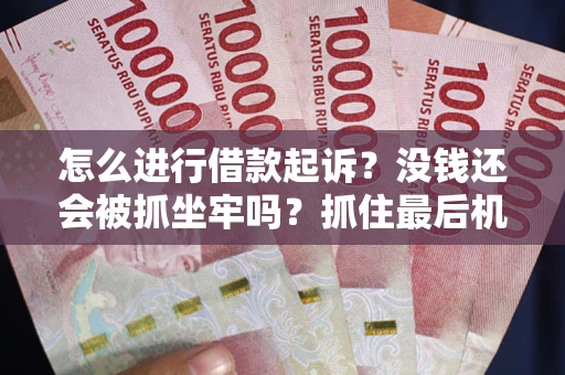 北京怎么进行借款起诉？没钱还会被抓坐牢吗？抓住最后机会！