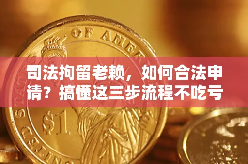 北京司法拘留老赖，如何合法申请？搞懂这三步流程不吃亏！