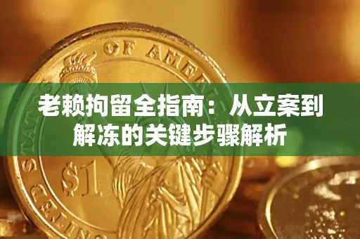 北京老赖拘留全指南：从立案到解冻的关键步骤解析