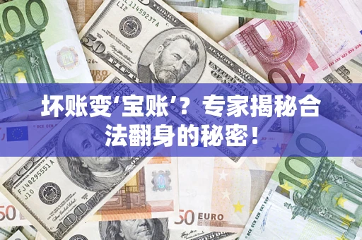北京坏账变‘宝账’？专家揭秘合法翻身的秘密！