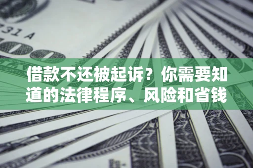 北京借款不还被起诉？你需要知道的法律程序、风险和省钱技巧